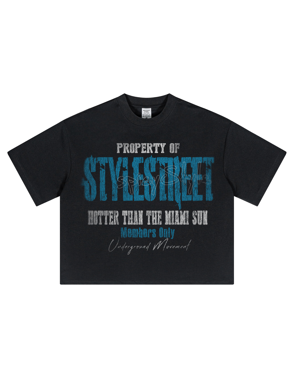 Stylespicy — T-shirt Cropped Boxy Fit Negra 280GSM